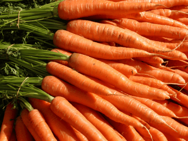 The Seasonal Box