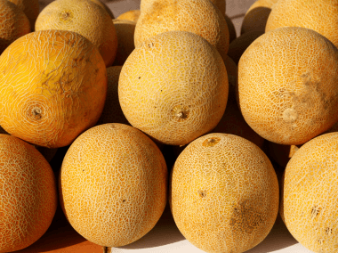 The Fruit Box