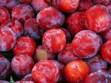 The Fruit Box
