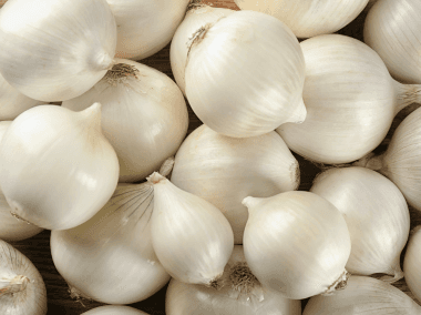 The Low Carb Box