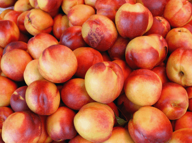 The Small Fruit Box