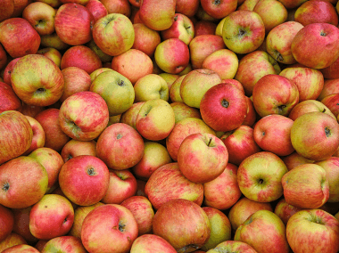 The Fruit Box