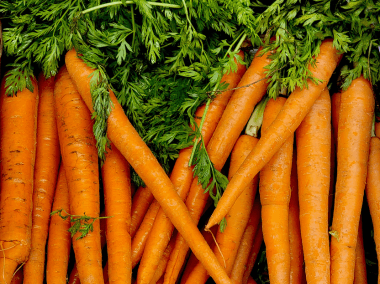 Small Seasonal Box