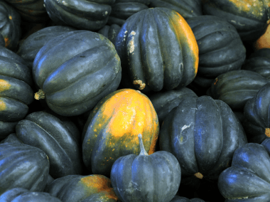 The Seasonal Box