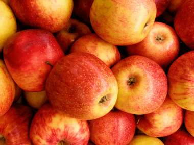 The Small Fruit Box