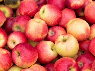 The Fruit Box
