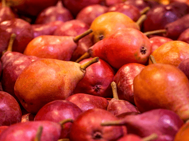 The Small Fruit Box