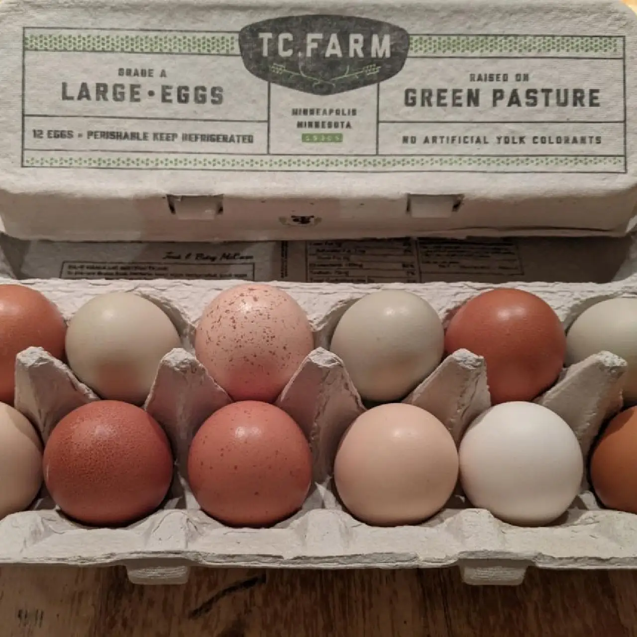 Dozen Eggs