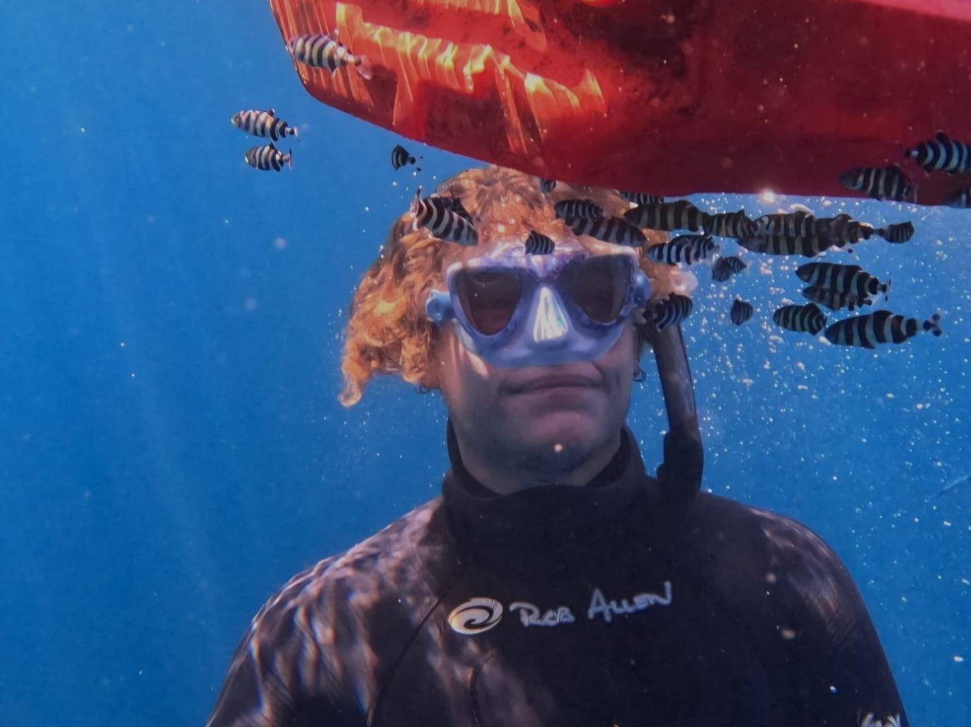 Freediving mask on the Sardine Run, South Africa