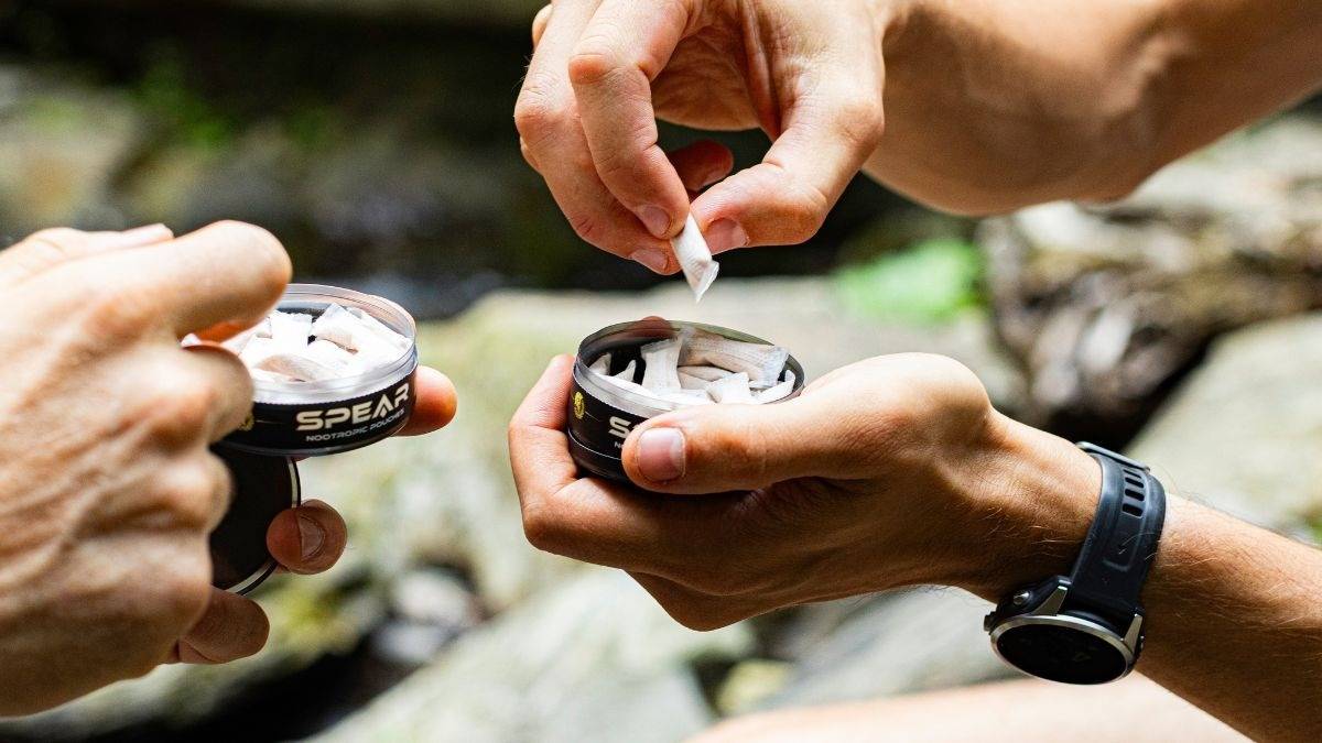 Picking a nootropic pouch