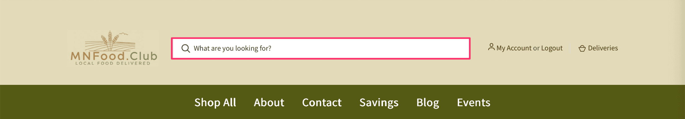 Search bar