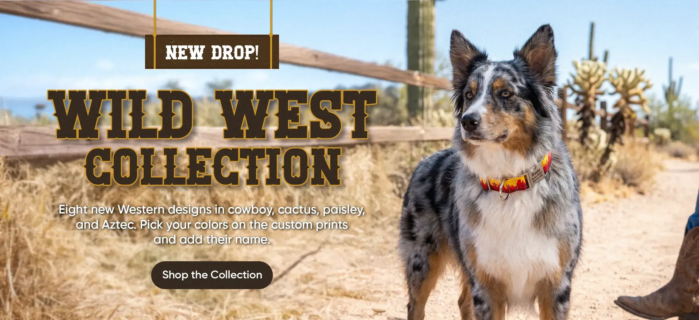 Custom Dog Collars | dog collars