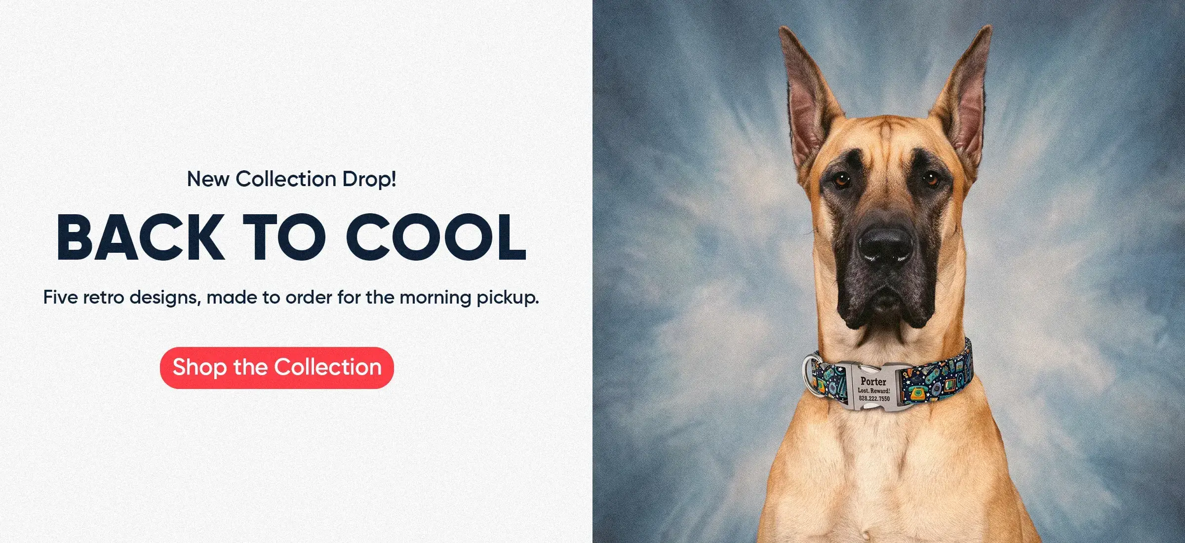 Custom Dog Collars | dog collars
