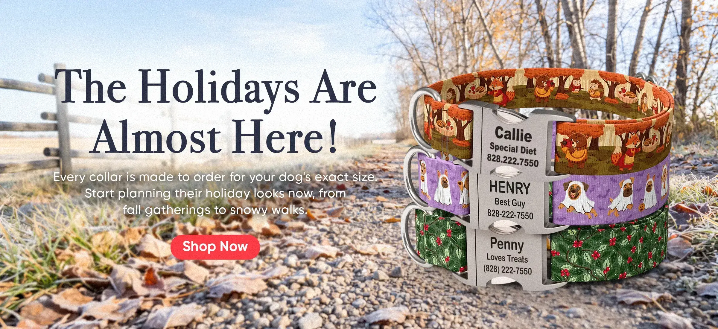 Custom Dog Collars | dog collars