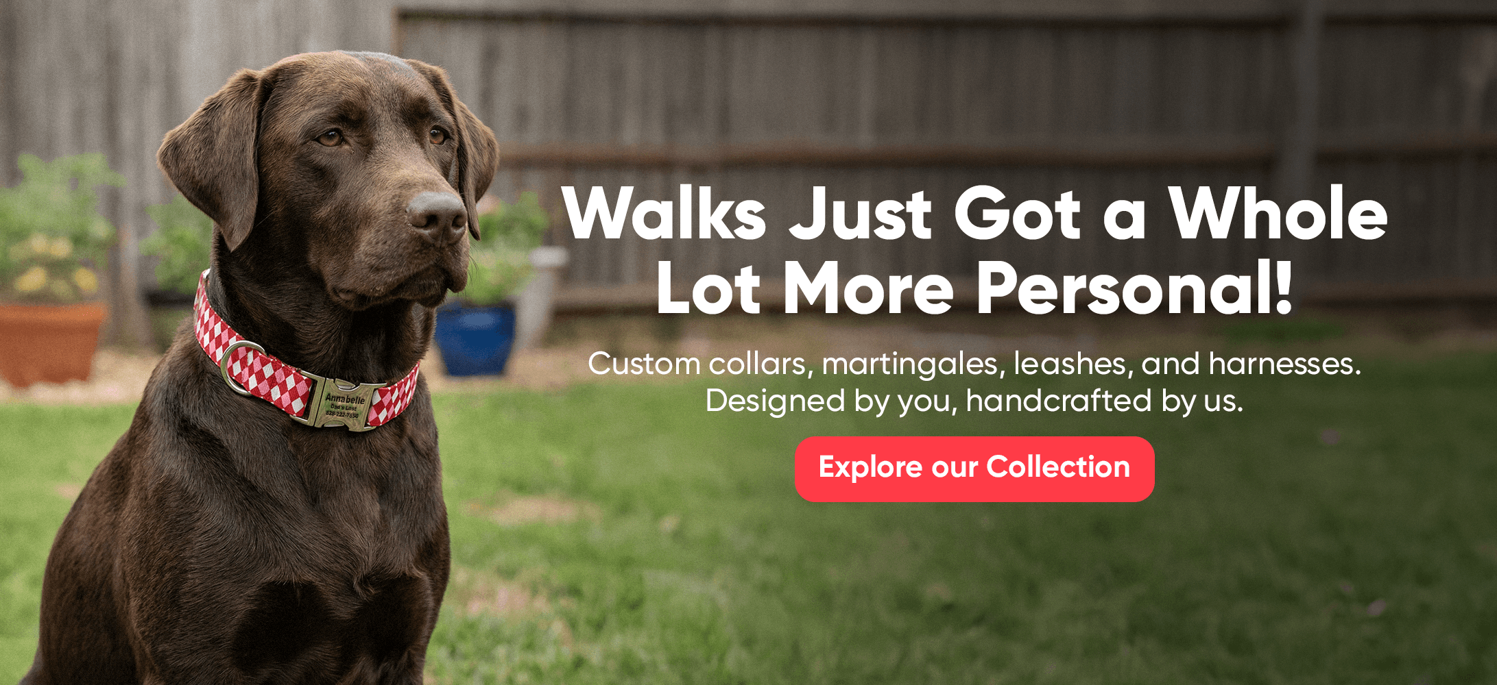 Custom Dog Collars | dog collars