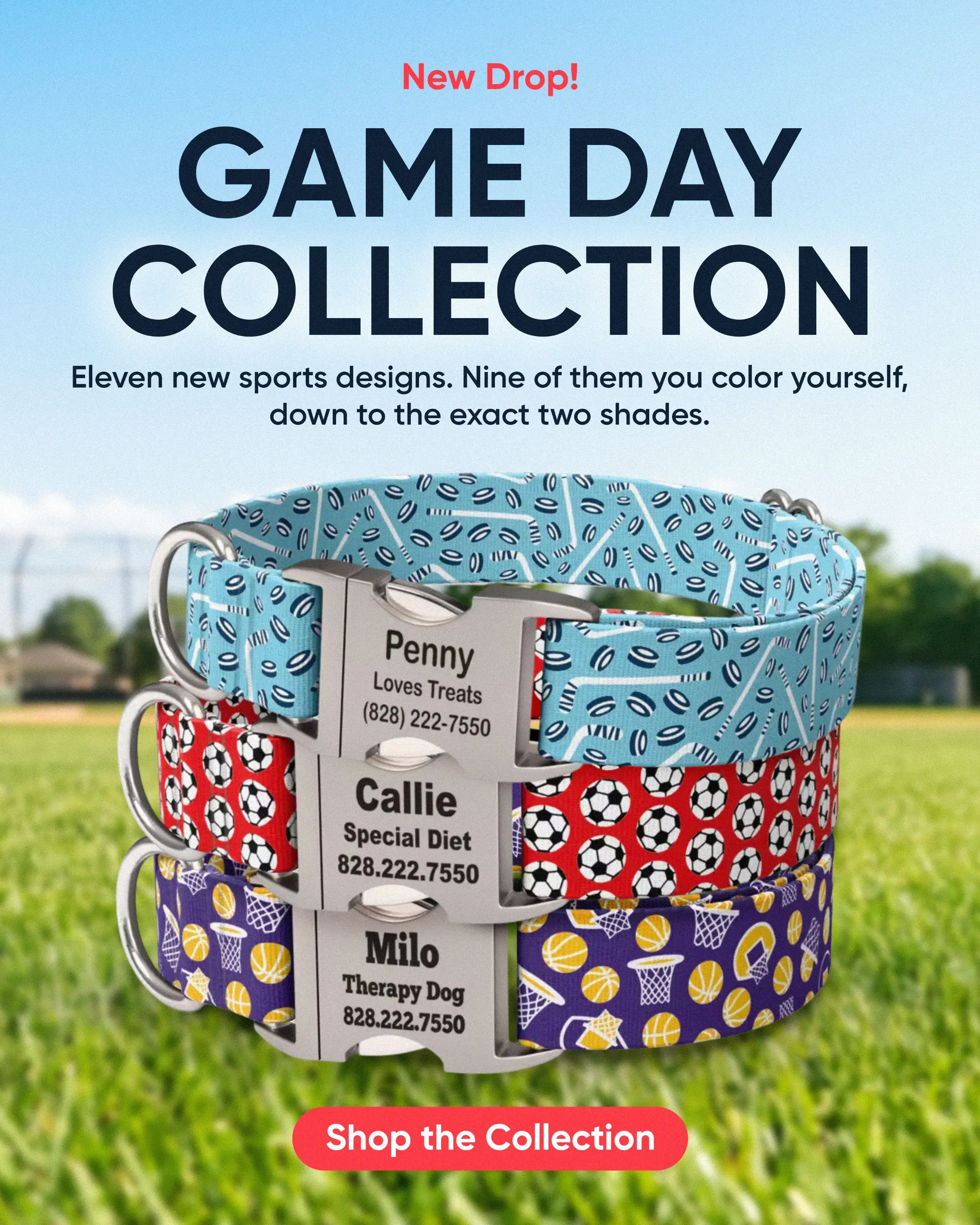 Custom Dog Collars | dog collars