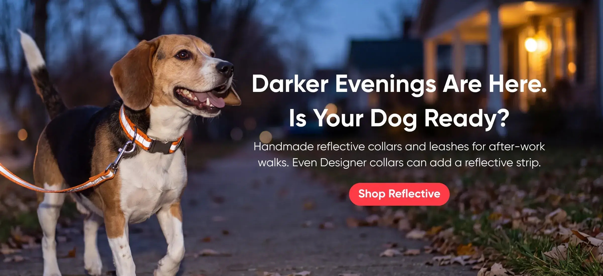 Custom Dog Collars | dog collars