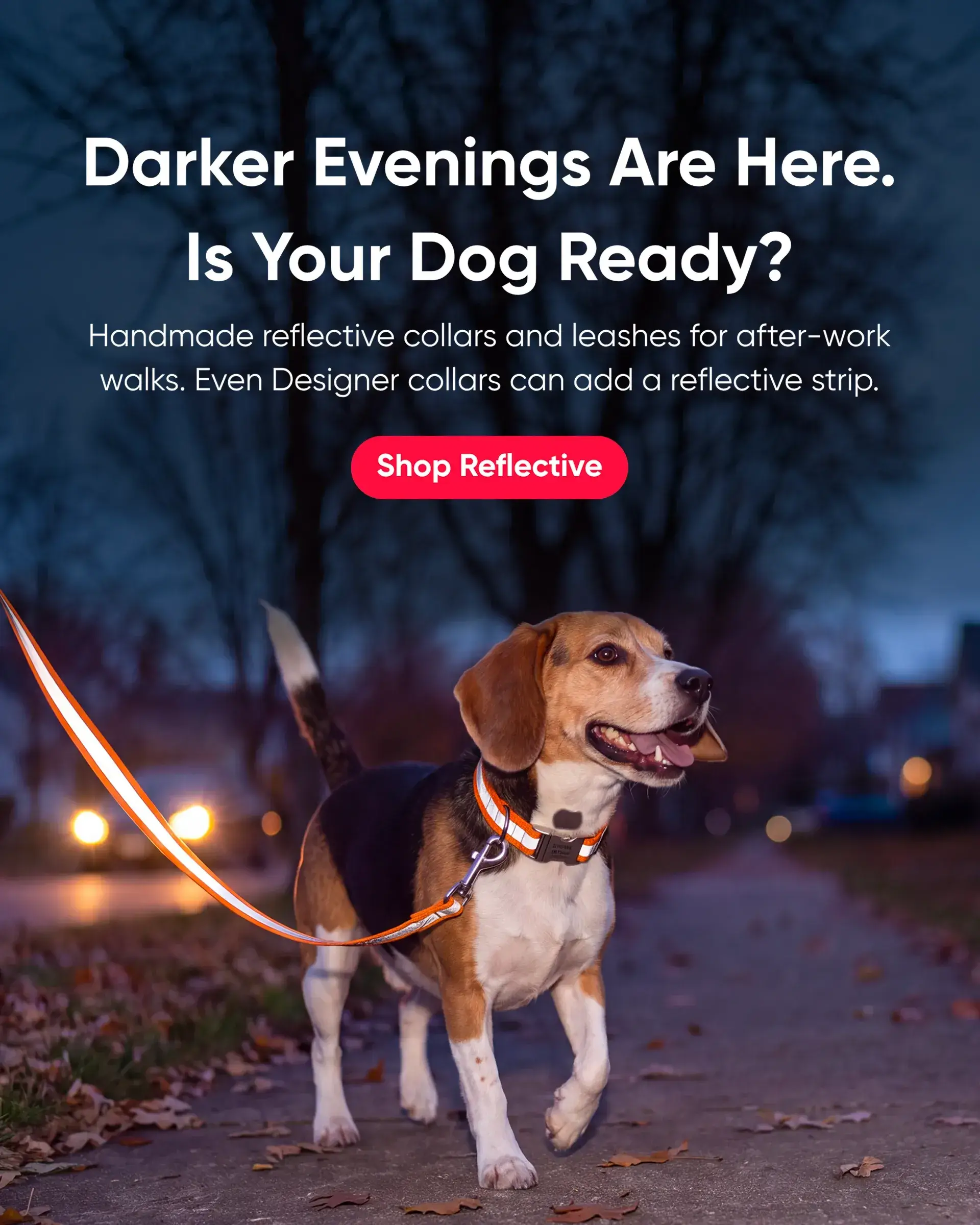 Custom Dog Collars | dog collars