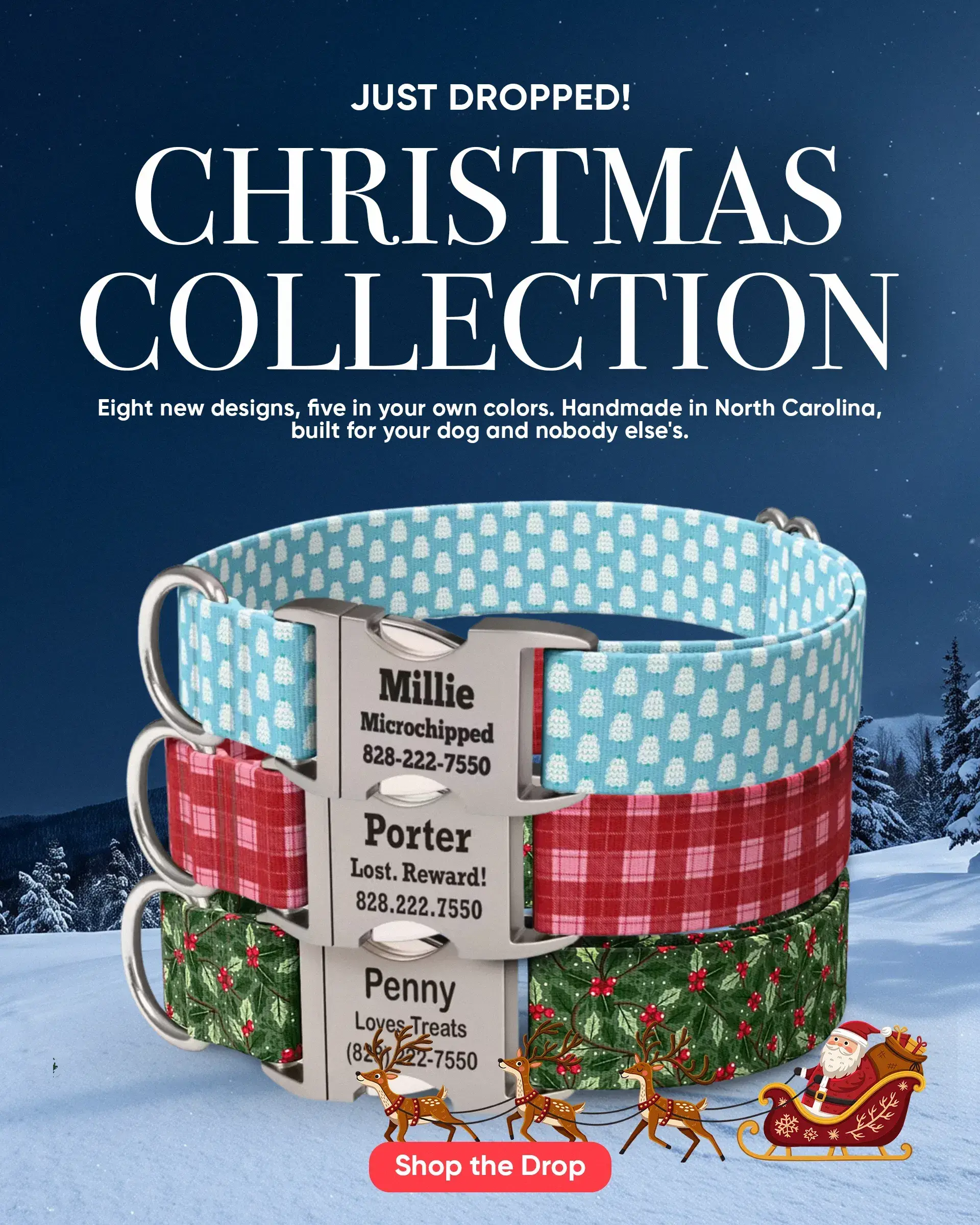 Custom Dog Collars | dog collars