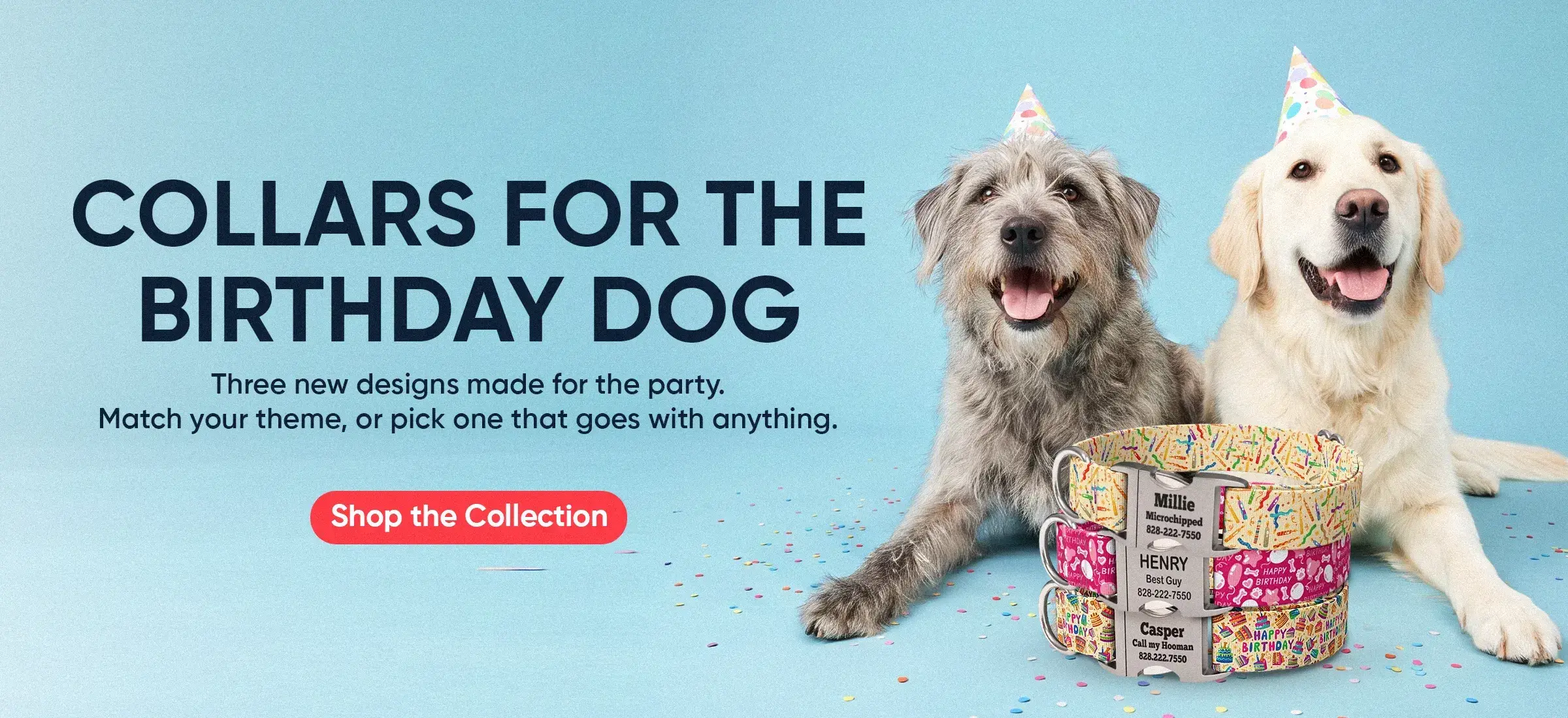 Custom Dog Collars | dog collars