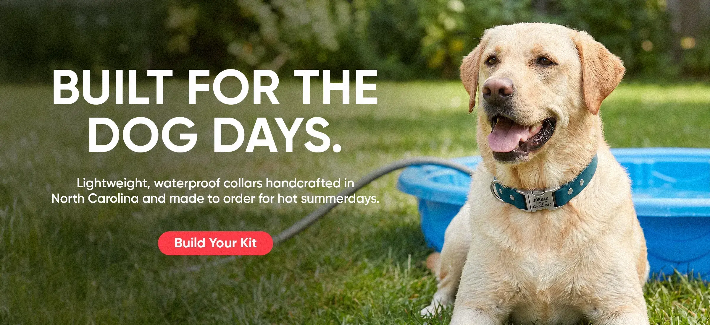 Custom Dog Collars | dog collars