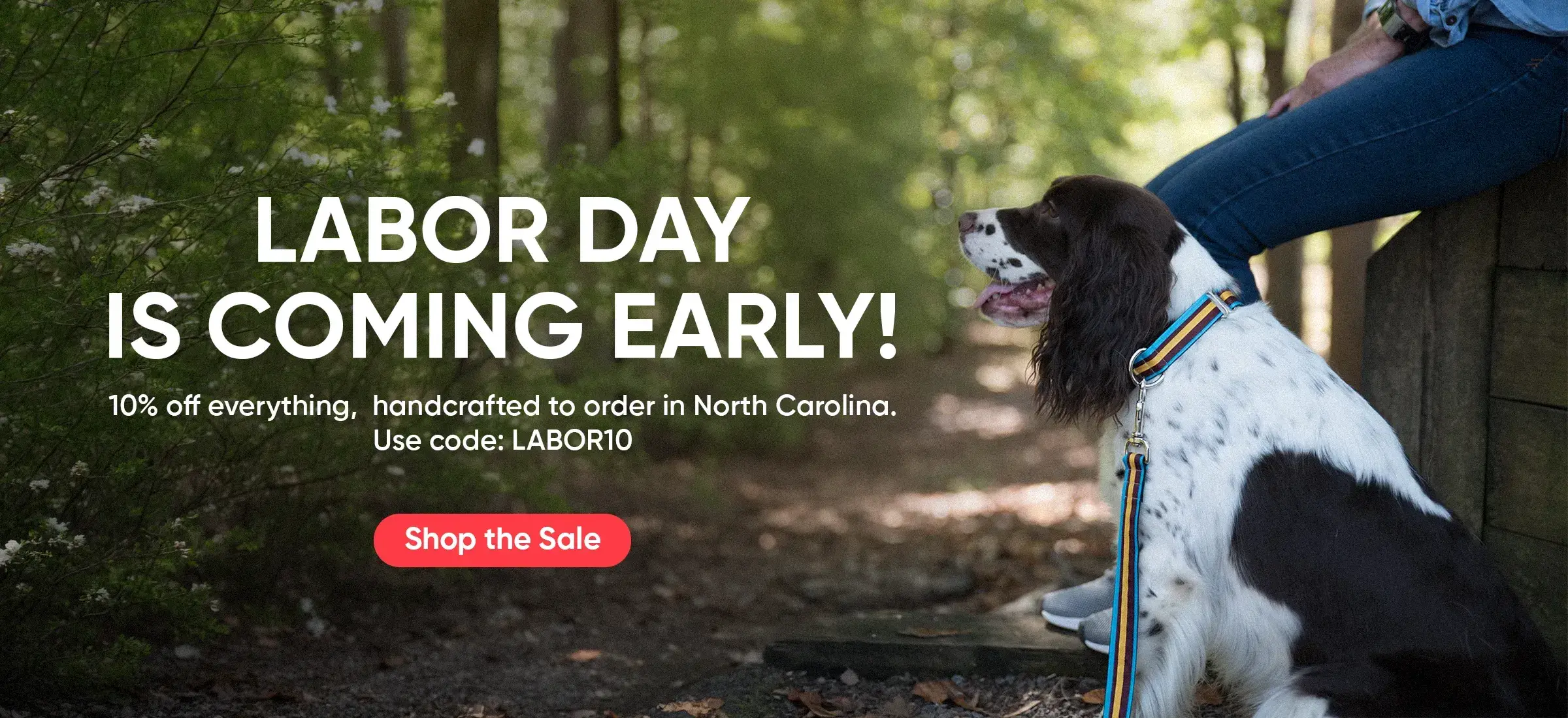 Custom Dog Collars | dog collars