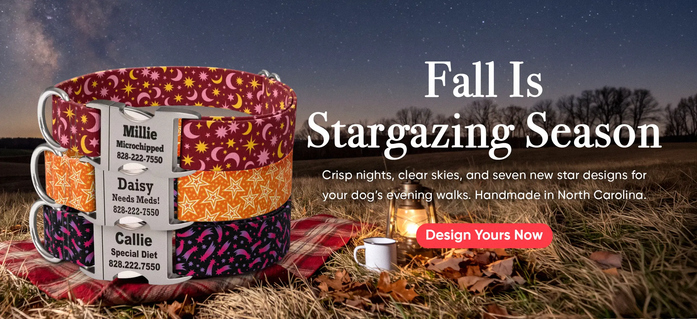 Custom Dog Collars | dog collars