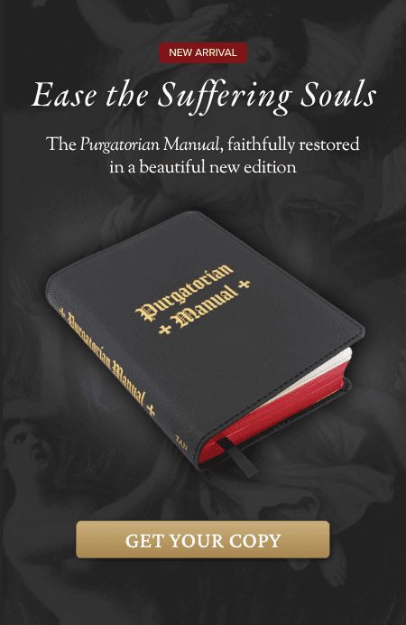 Purgatorian Manual NR
