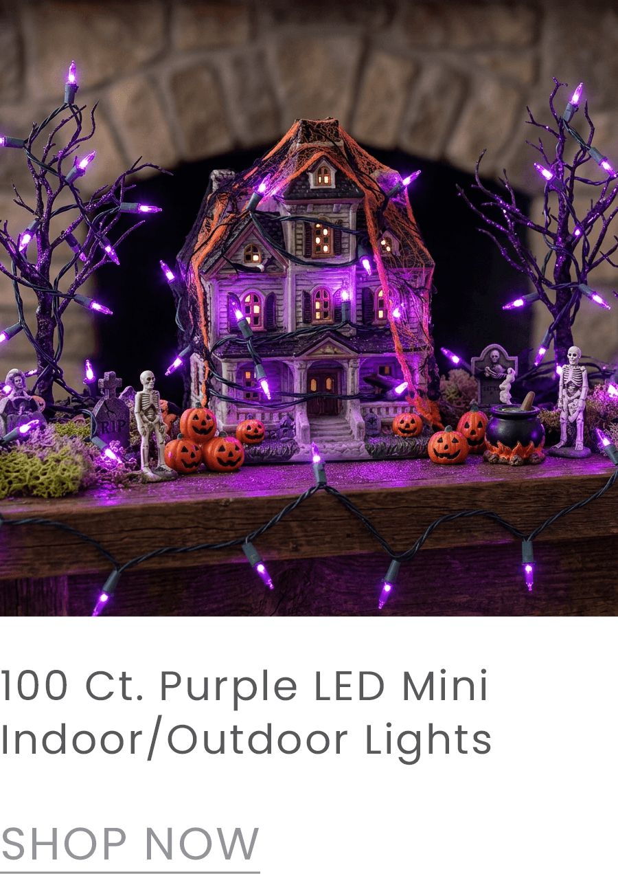 100 ct. purple LED mini lights