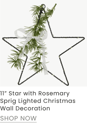11-inch star with rosemary sprig lighted Christmas wall decoration