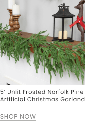 Frosted norfolk pine garland arranged on fireplace mantel