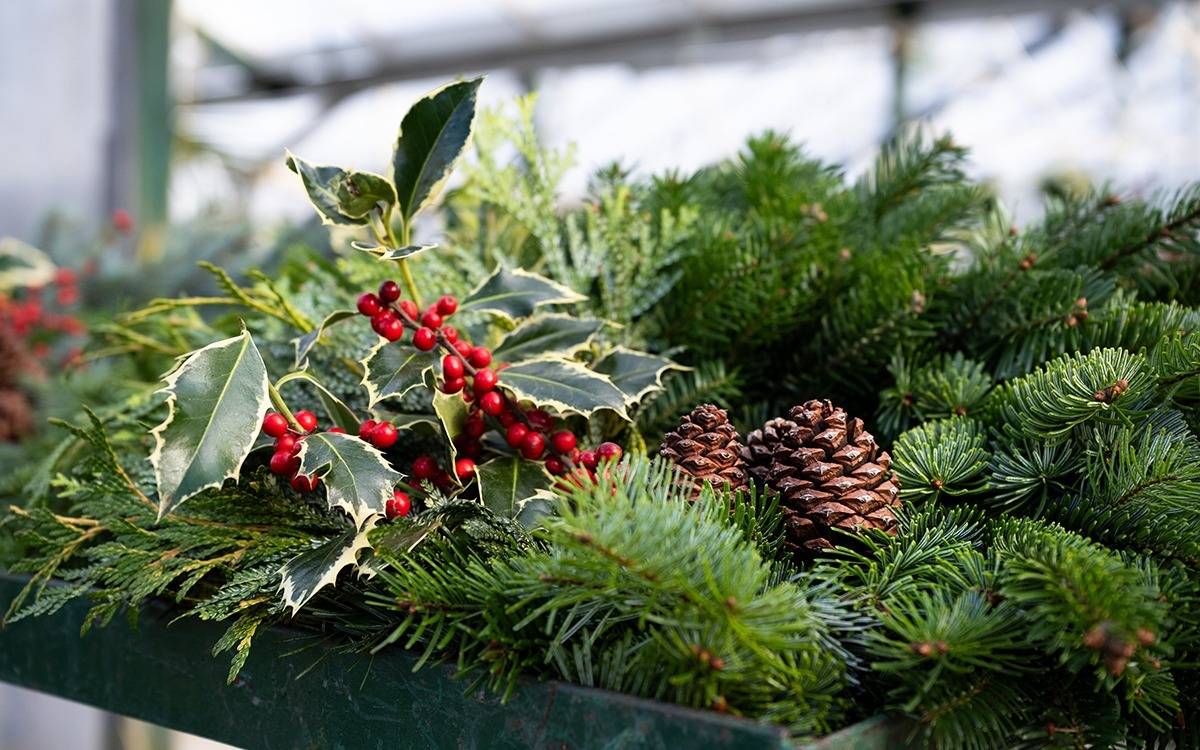 mixed pine, holly and pinecone arrangement