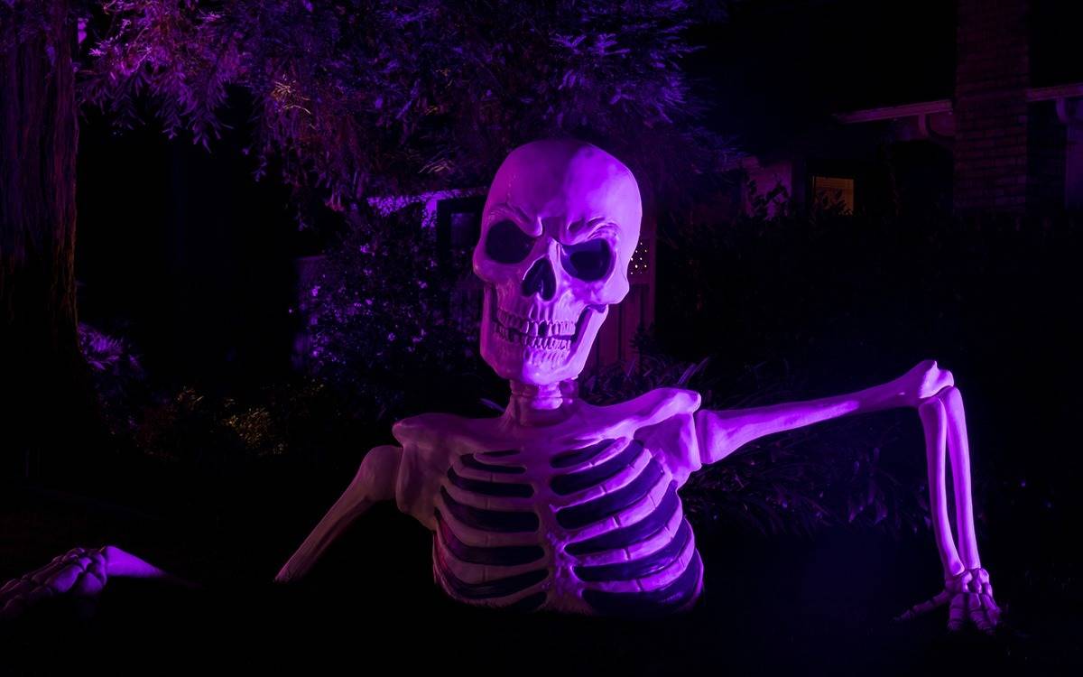 Giant Halloween skeleton lit by purple spotlight