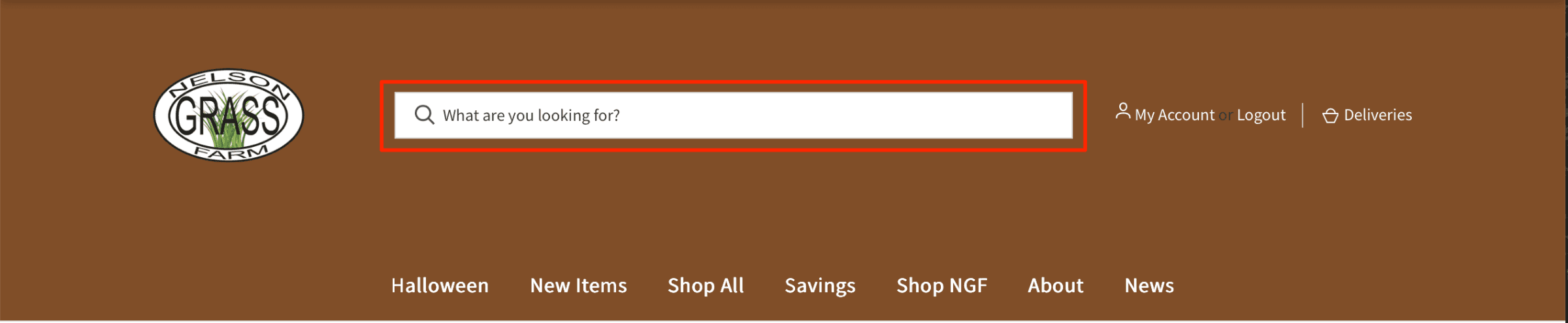 Search bar